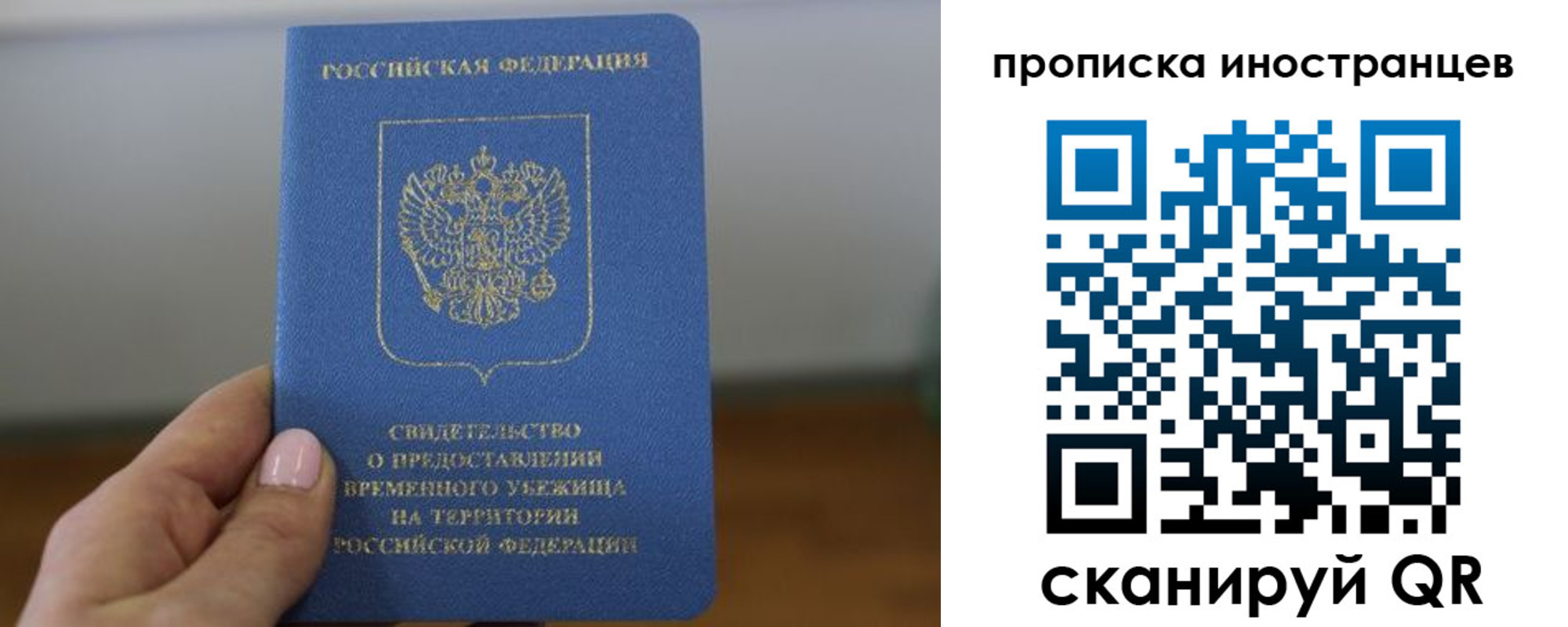прописка ребенка в Светлом